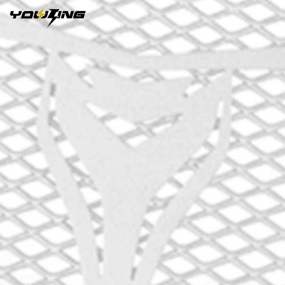 

CF250NK Motorcycle Accessories Radiator Grille Cover Guard Protection For CFMOTO 250NK NK250 CF250 NK 250 2018 2019 2020 2021