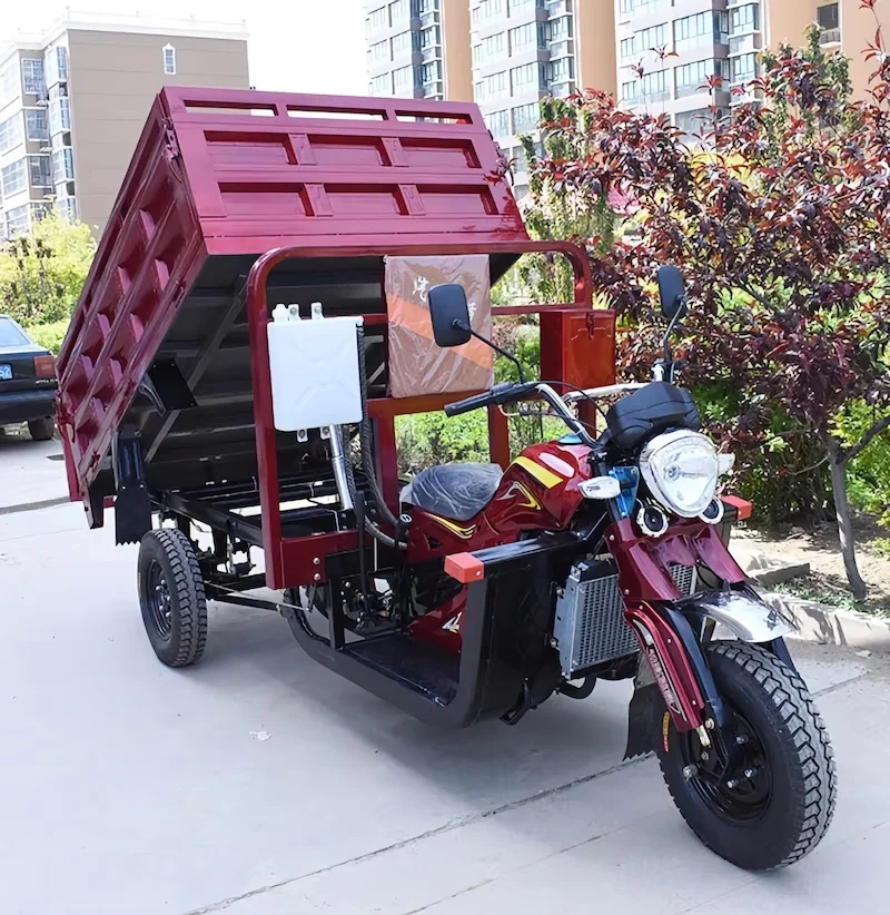 Scooter Tricycle gasoline Car Mini Car gasoline Vehicle Three Wheel