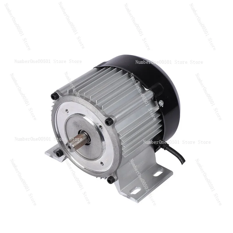 

48V 500W 800W 1000W Brushless DC Motor with Keyway for Water Pump Grinder Conversion Belt Pulley