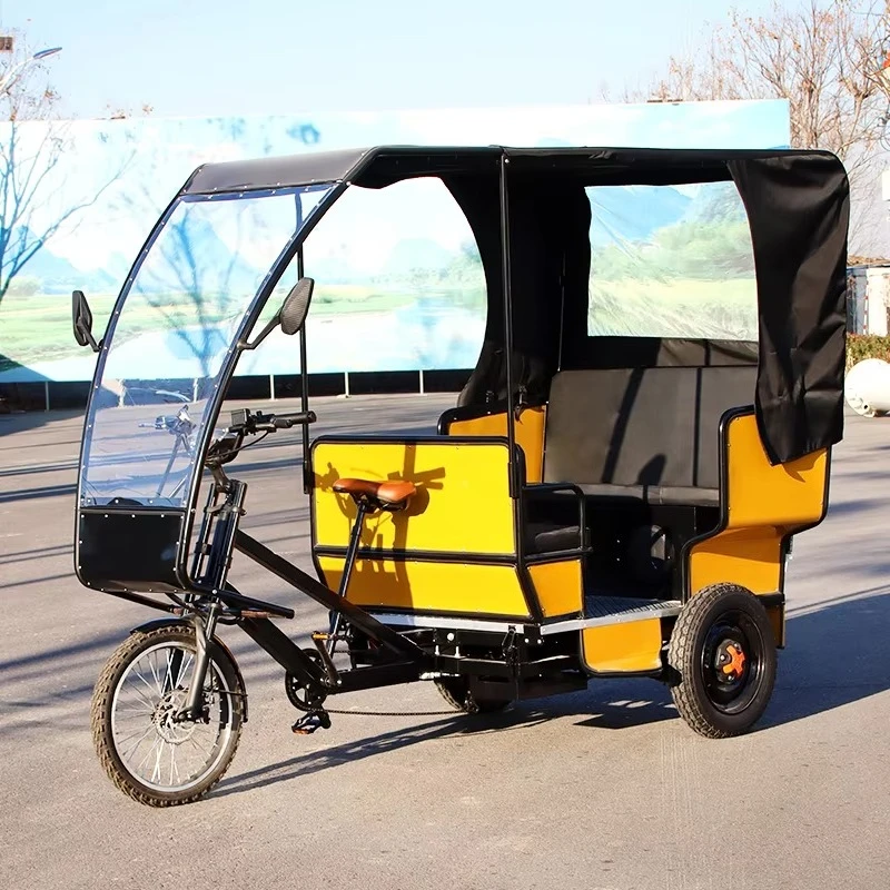 Bicycle electric tricycle auxiliary pedal billboard and canopy