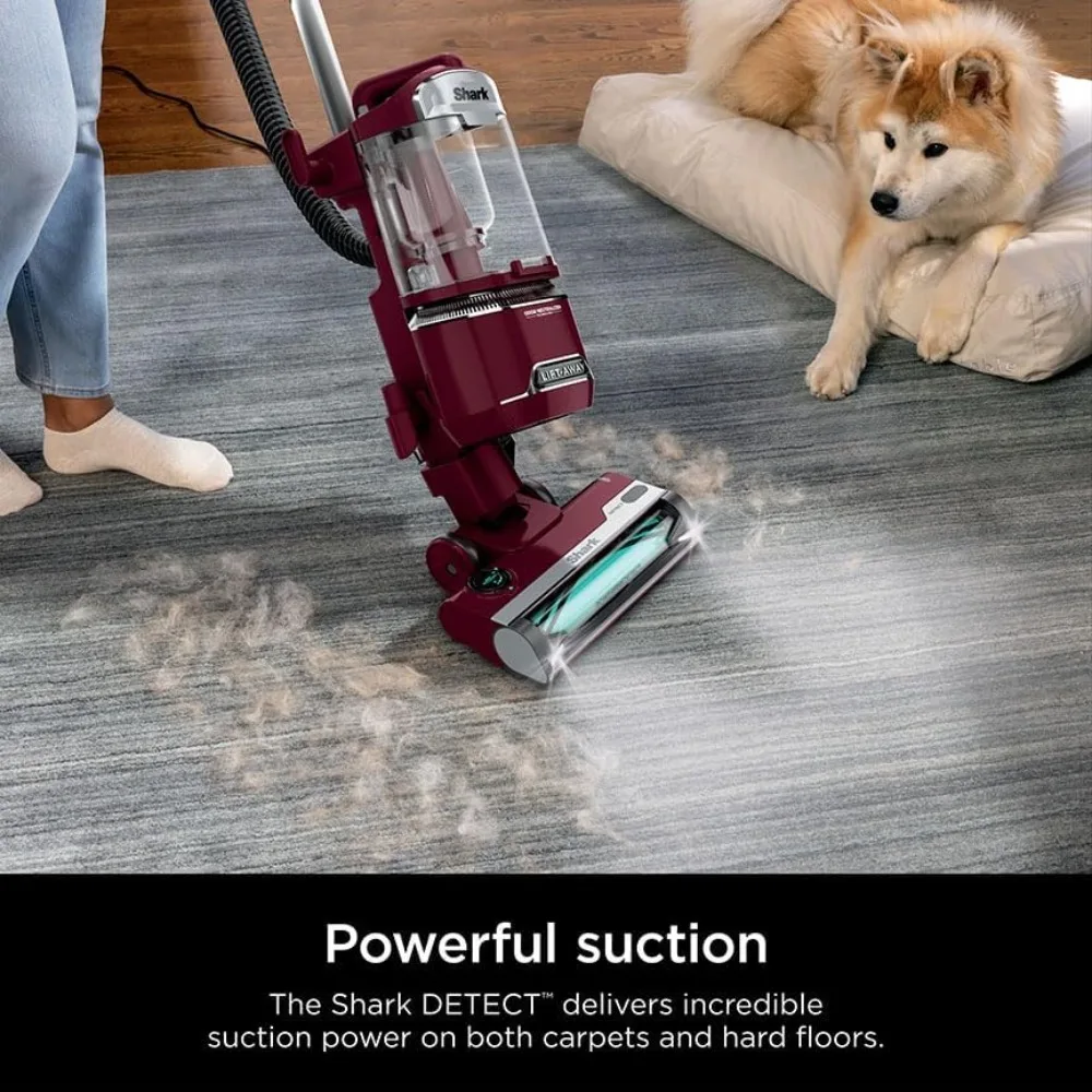 Corded Upright Vacuum with Detect Technology, Anti-Allergen Complete Seal, and Odor Neutralizer Technology, Burgundy