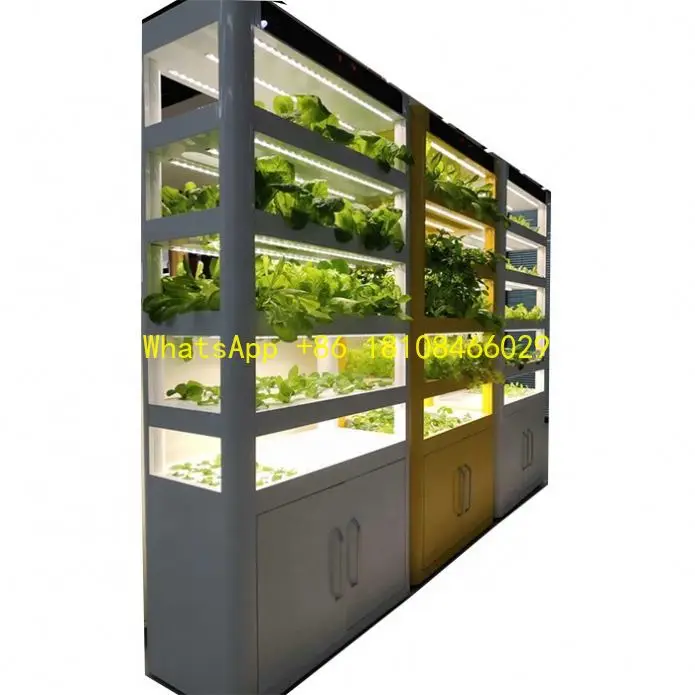 

Intelligent Vegetable Planter Simple Intelligent Hydroponic