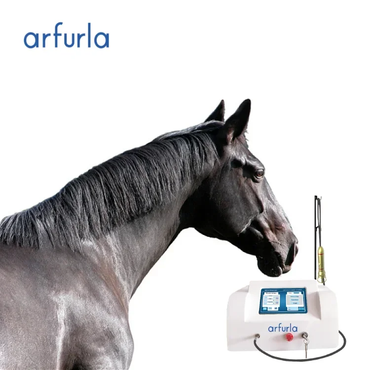 Portable laser for veterinary diode laser therapy veterinary laser therapy machine