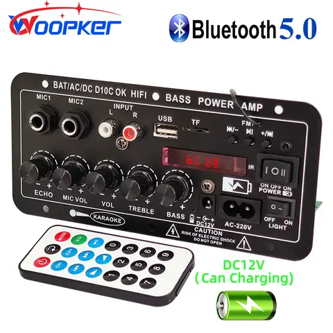 Woopker Power Amplification Board D10C BT 5.0 Dual Microphone Subwoofer Battery Rechargeable Digital Amplifier Board Karaoke