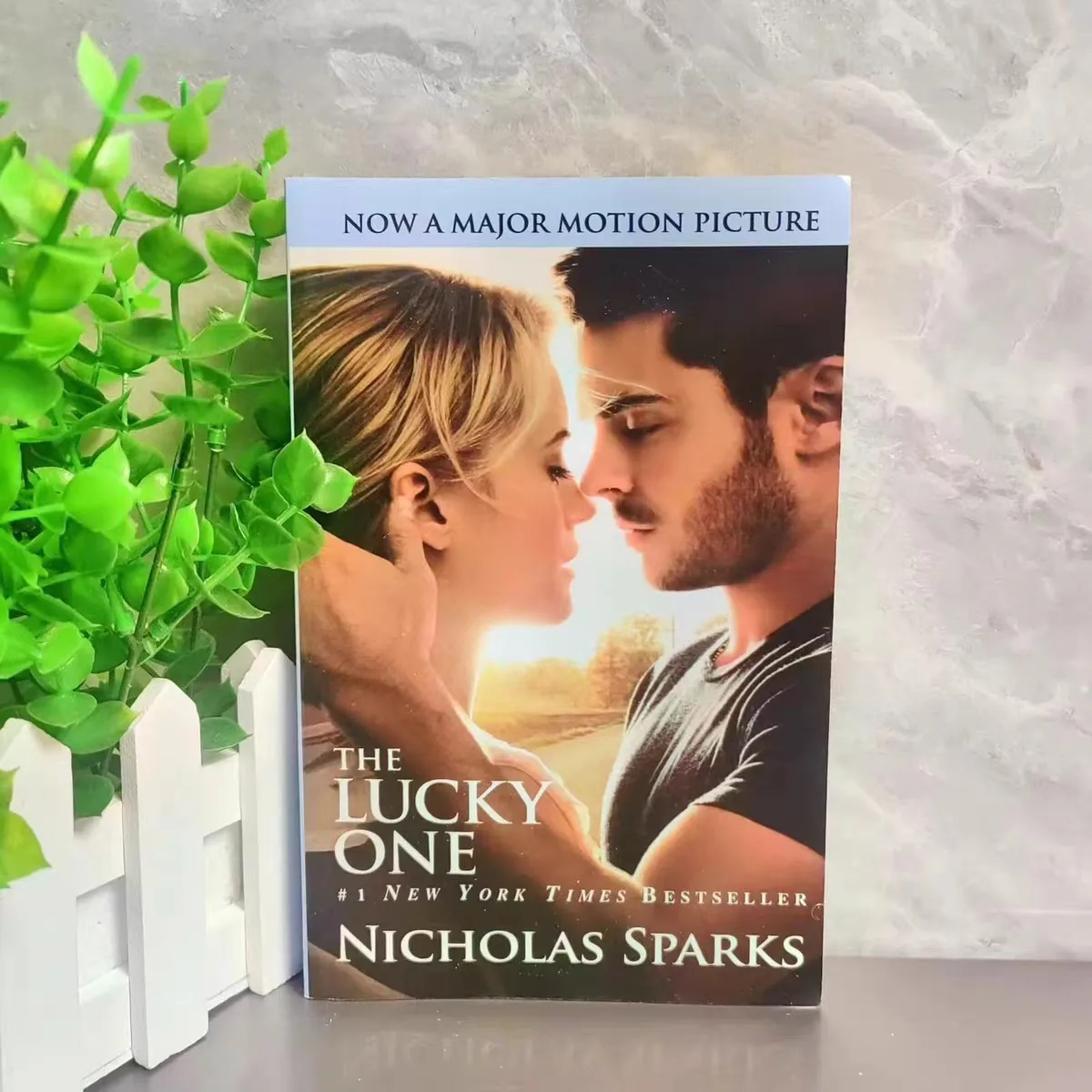 

Счастливый талисман, английская версия, счастливый детский фильм, роман, книга с историями любви, английская книга