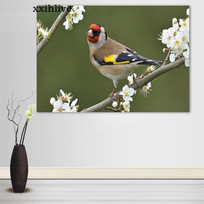 Custom Bird Goldfinch HD Silk Cloth Canvas Poster Home Decoration Wall Art Fabric Poster Print 27x40cm,30x45cm,40x60cm