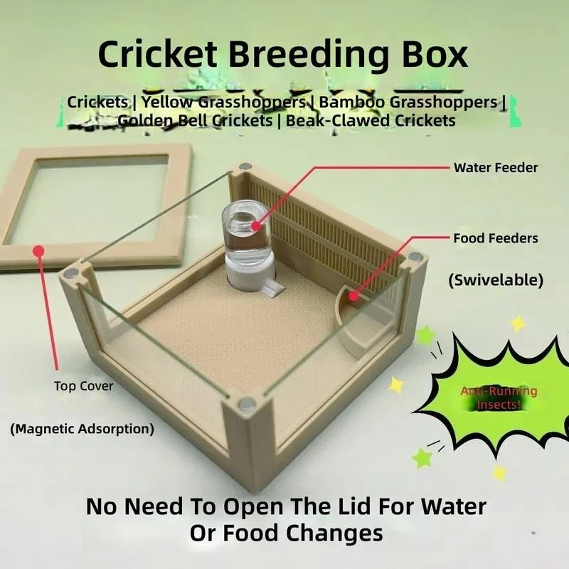for Songbird Feeding Box with Water Feeder Trough for Cricket Yellow Fly Bamboo Fly Golden Bell Beak Songworm and Bamboo Fly