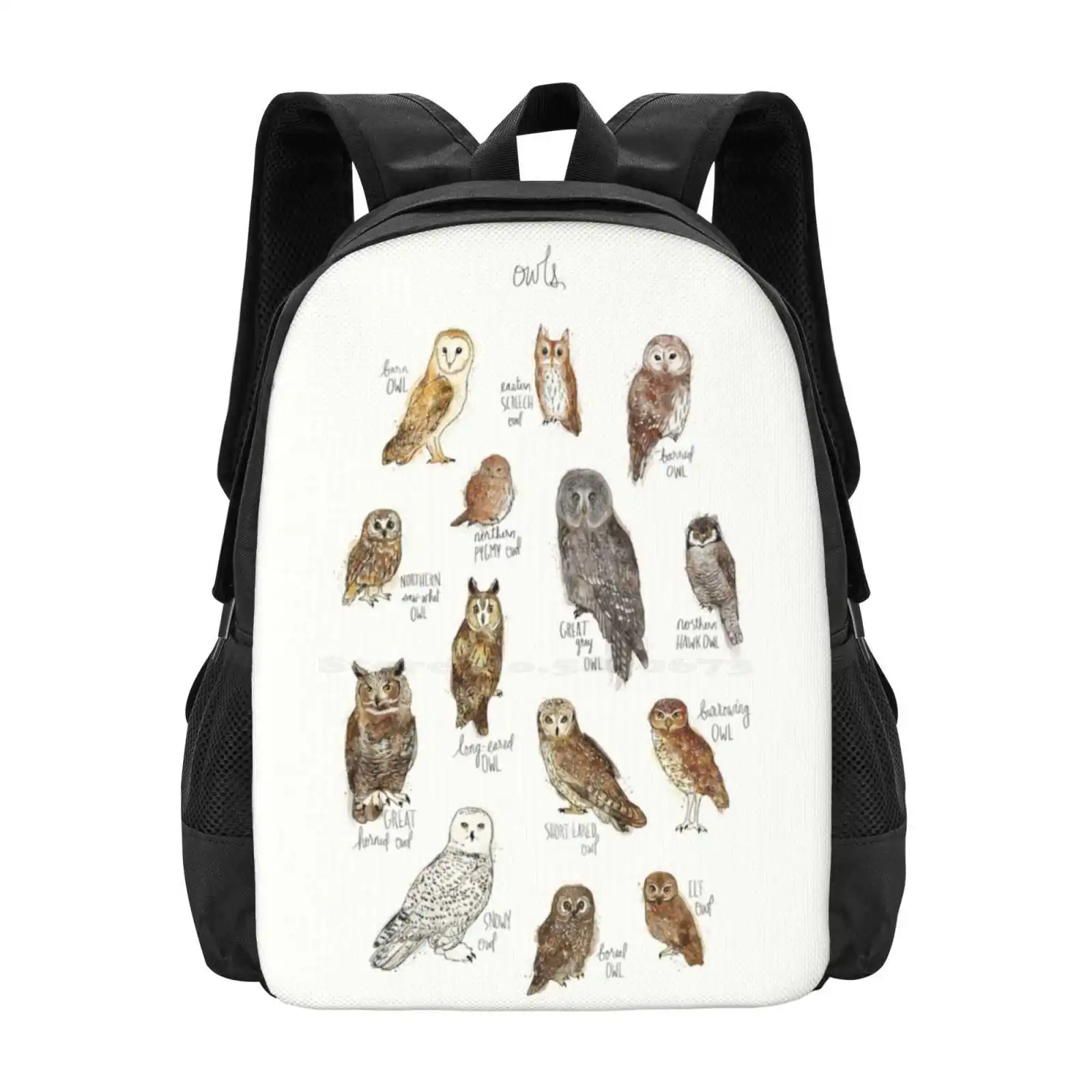 Owls Backpacks For School Teenagers Girls Travel Bags Owls Animals Birds Fauna Creatures Nature Wildlife Forest Chart Barn