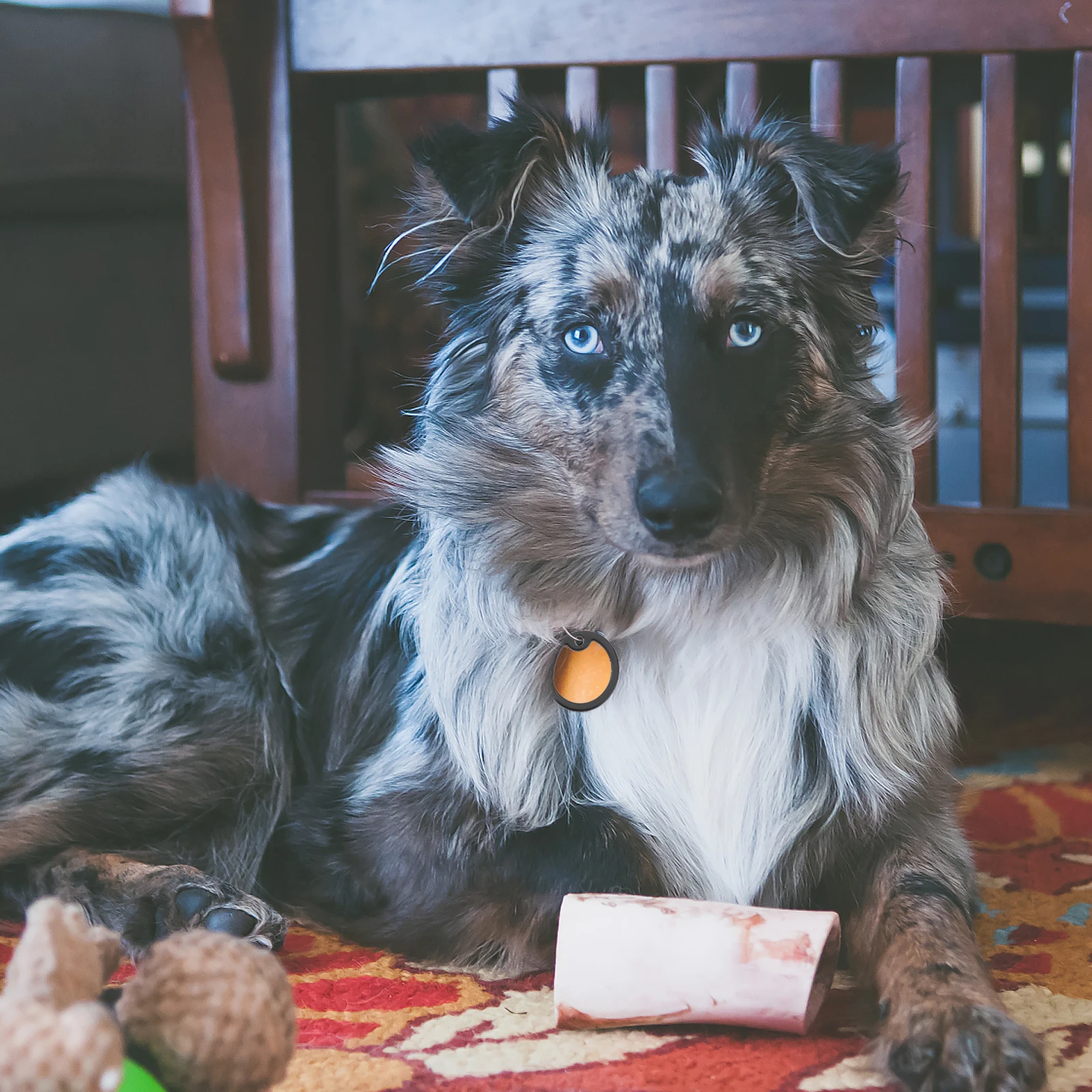 

12pcs Silicone Dog Tag Silencers Thick Durable Rubber Mute Covers For Military Pet Id Tags Noise Reduction Round Stretchable