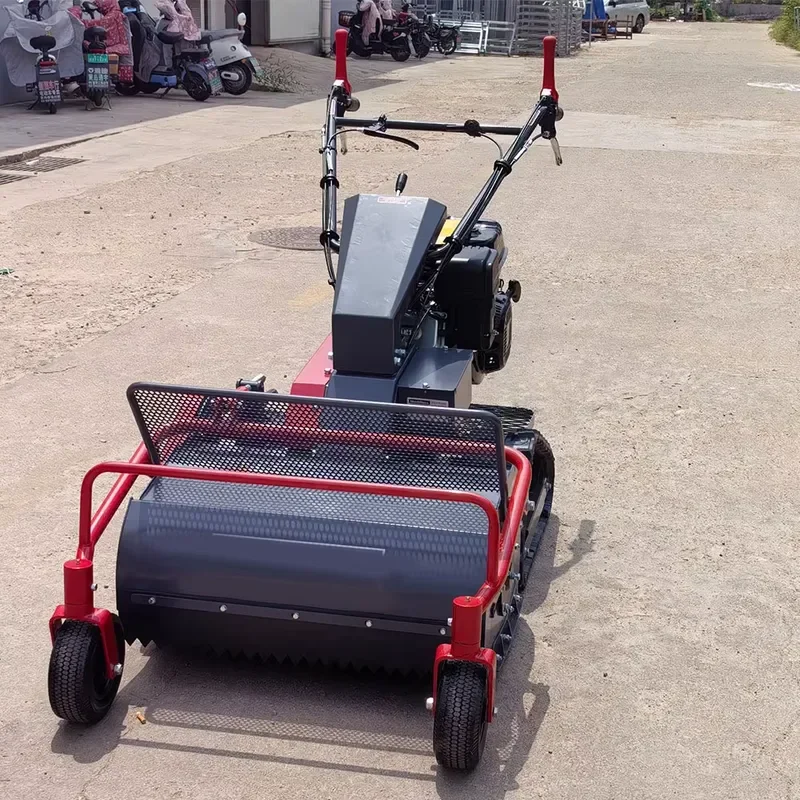Tienu Grassland Green Trimming Wheel Lawn Mower CE Walking Behind Flail Mulcher Mower for Backyard