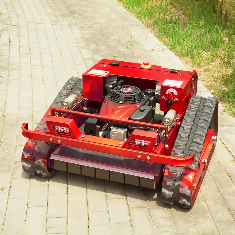 Customized 2025 Orc…