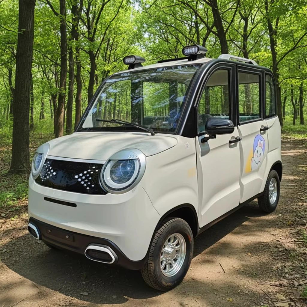 Small electric vehicle 1000W energy  four-wheel mini  vehicle 4 doors 4 seats adult