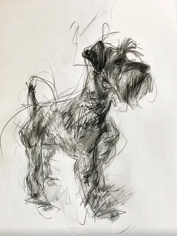 Schnauzer Dog Sketch Wall Art Print, Black and White Pencil Drawing, Minimalist Pet Portrait Art for Modern Home Decor