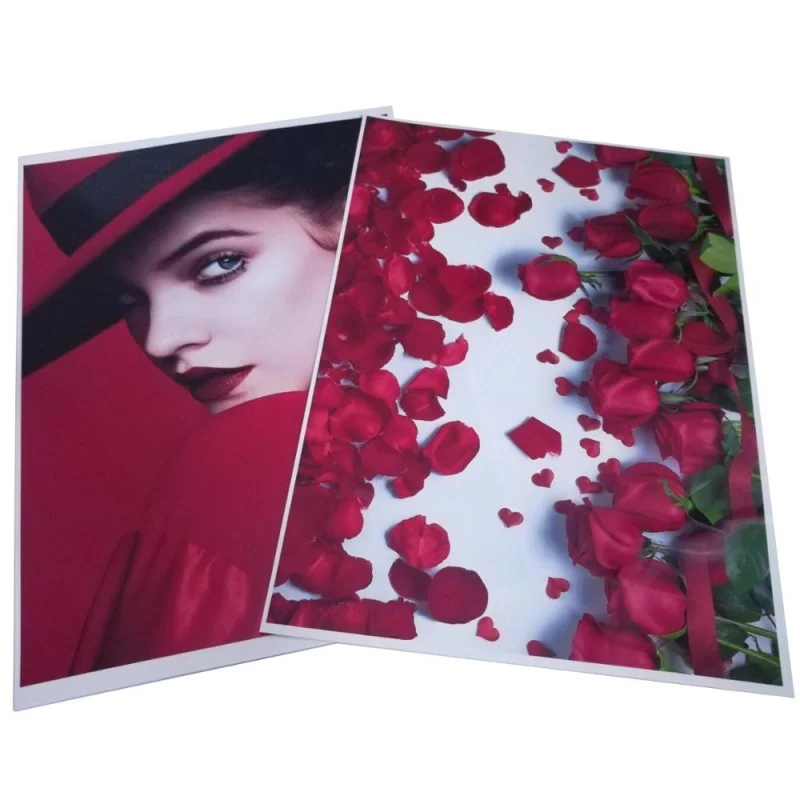 Customized product.NT Paper PET Film manual / journal / magazine / catalogue / brochure / flyer / leaflet/ children book printin