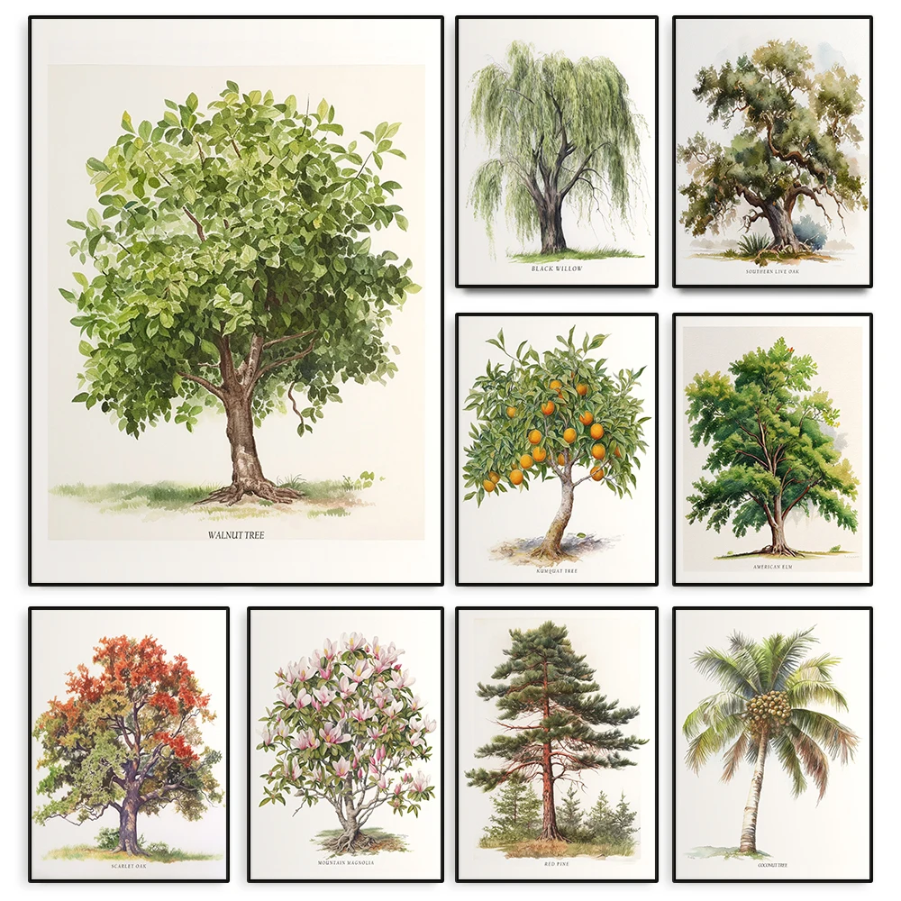 Common Trees Type Modern Colourful Poster Fruit Tree Willow Pine Canvas Painting Wall Art for Classroom Living Room Home Decor