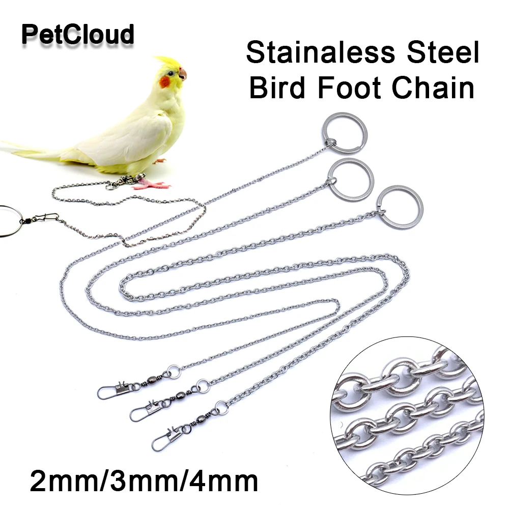 

Stainless Steel Parrot Foot Chain Bird Ankle Foot Ring Stand Chain Parrot Rope Bird Chain Outdoor Flying Training Papegaai Vogel