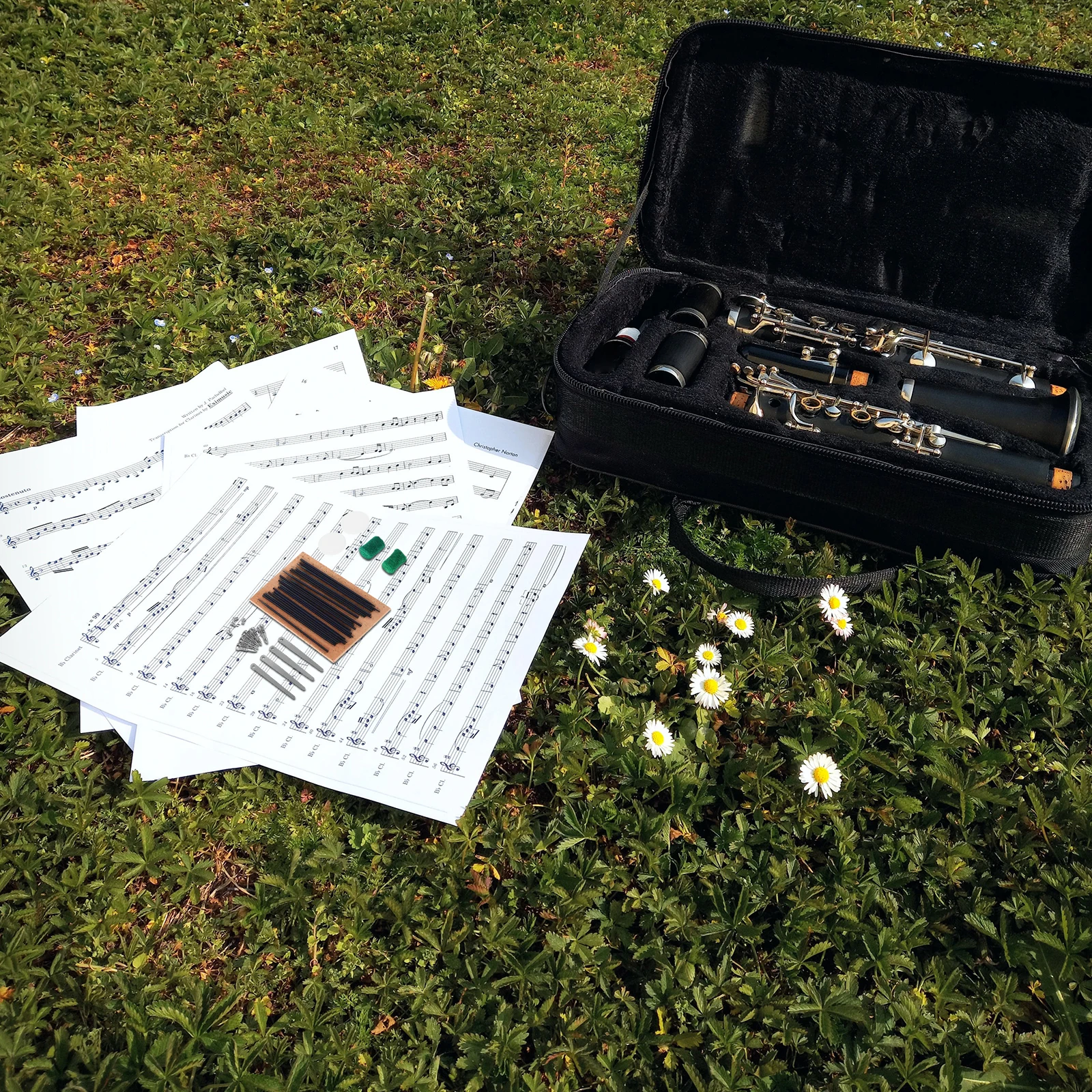 

1 Set Woodwind Kit Pads Reeds Spring Hooks For Saxophone Clarinet Maintenance Universal Tools Parts Saxophone Kit Instrument