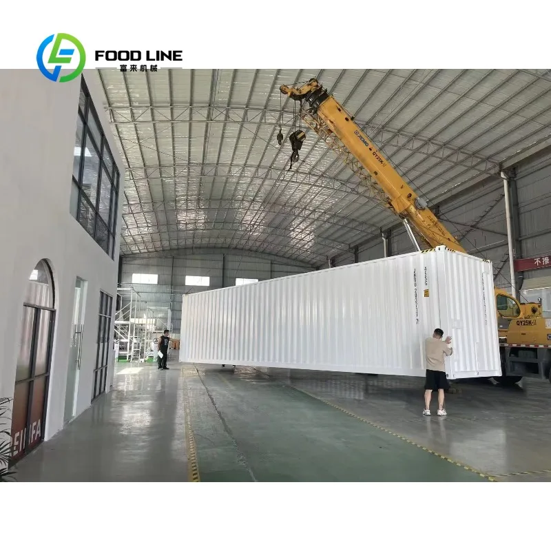 40ft Plug and Play Container Farm Designed for Premium Leafy and Fruiting Plants Smart Climate Control Vertical Farming System