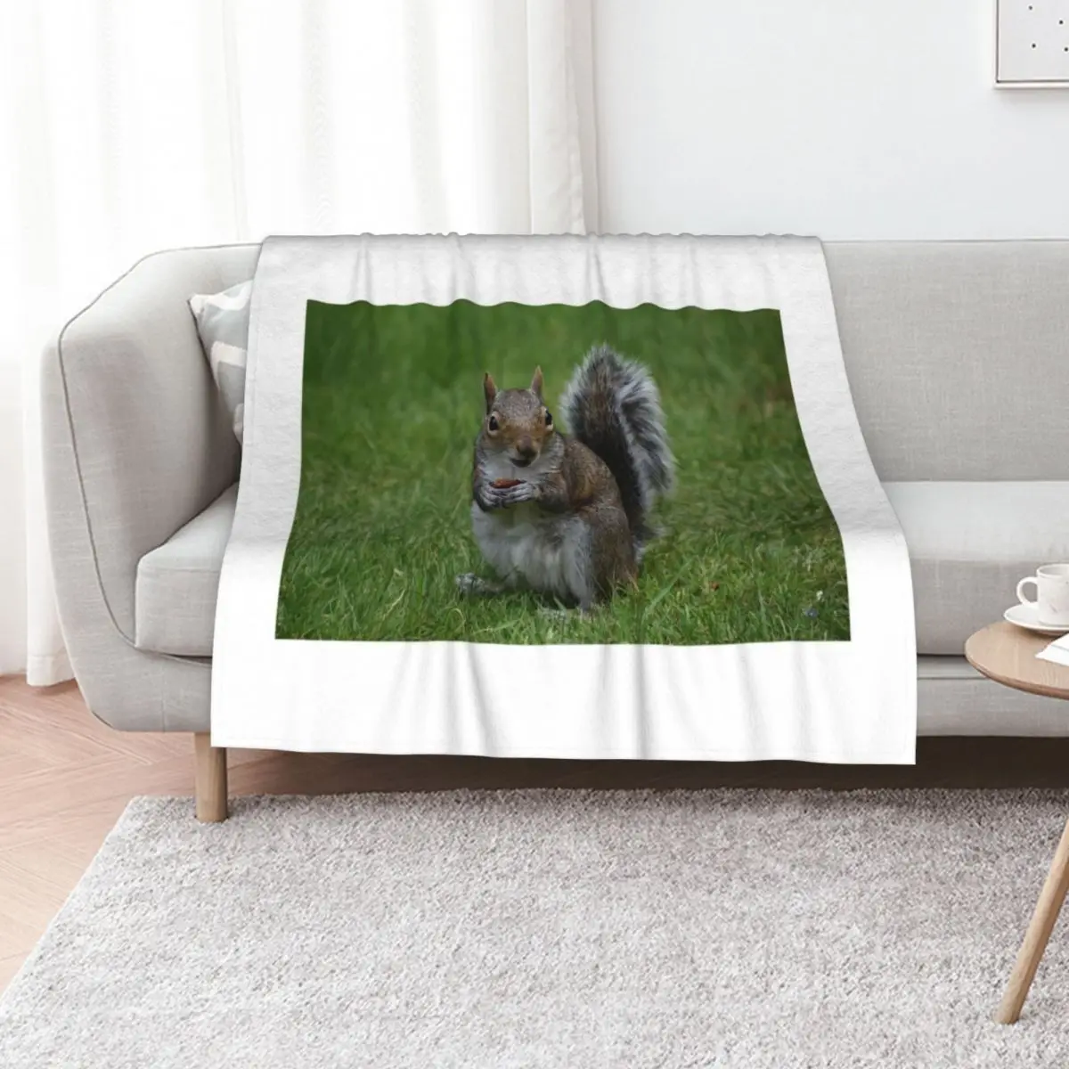Grey Squirrel with a peanut Throw Blanket Elegant Warm Throw Blanket for Hotel Home