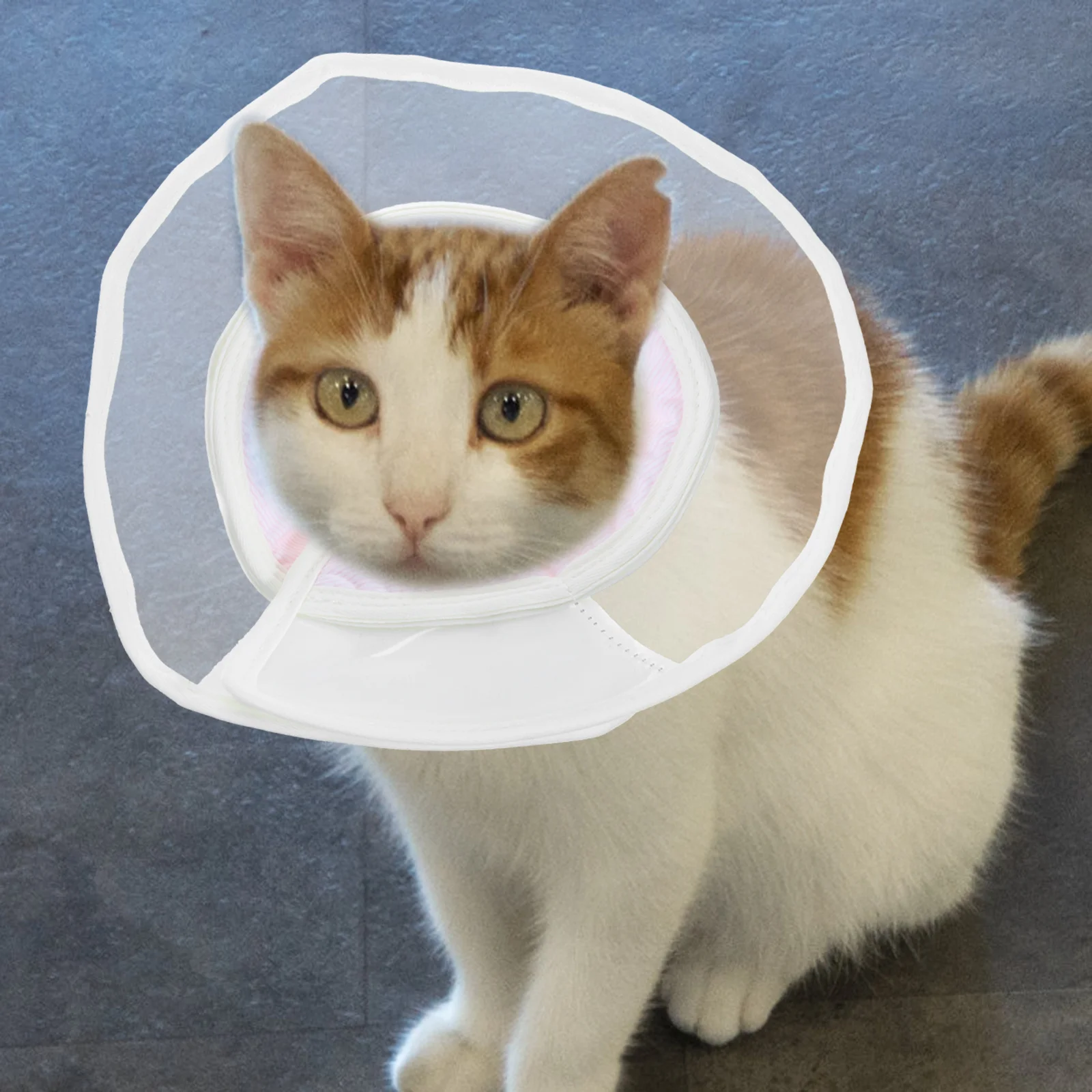 

Soft Cat Cone Collar for Surgery Recovery Lightweight Anti-Bite Neck Ring Prevent Licking Wounds Portable Design for Pet Healing