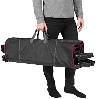 Limited Portable Folding Metal Framed Hammock with a Retractable Canopy, Perfect for Camping, Patio, Outdoor, and