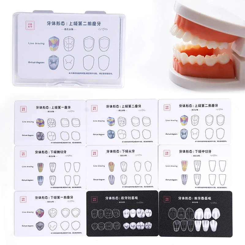 

9pcs Dental Composite Resin Filling Practice Board Teeth Morphology Board Dentist Anatomical Model Study Teeth Template