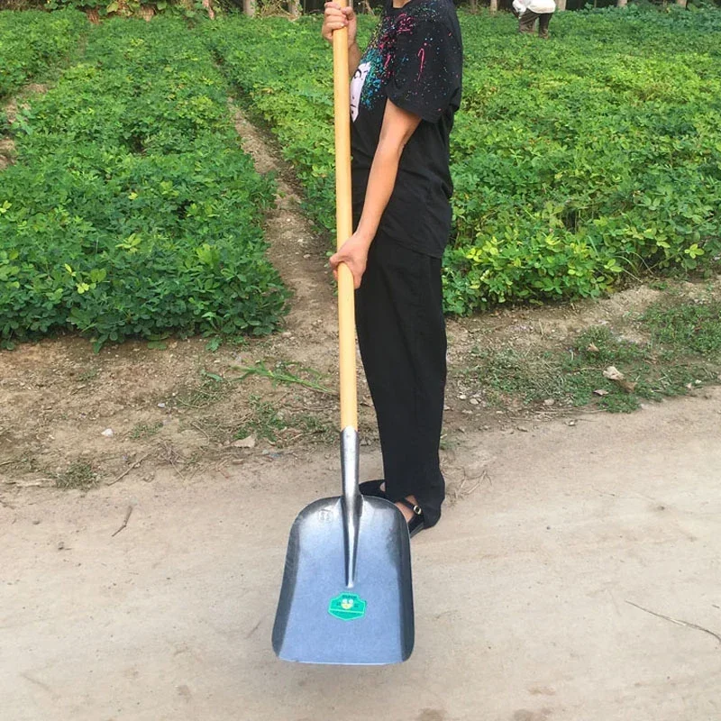 Imagem -04 - Quadrada pá de Neve Metal Aço Manganês Grande Carvão Sshovel Escavação pá Limpeza para Garagem Jardinagem pá