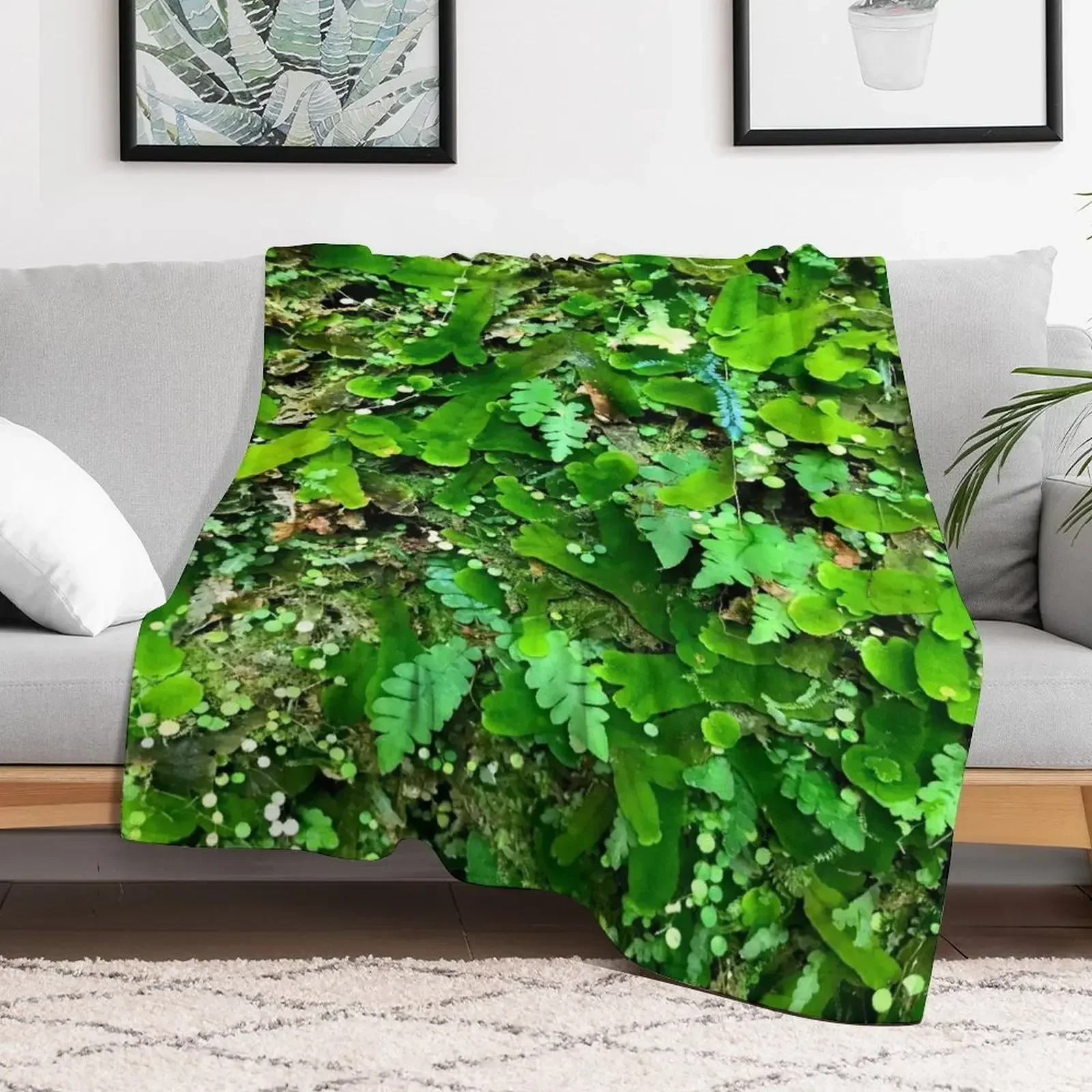 

Moss Micro World II Throw Blanket wednesday Giant Sofa Sofa Nap Blankets