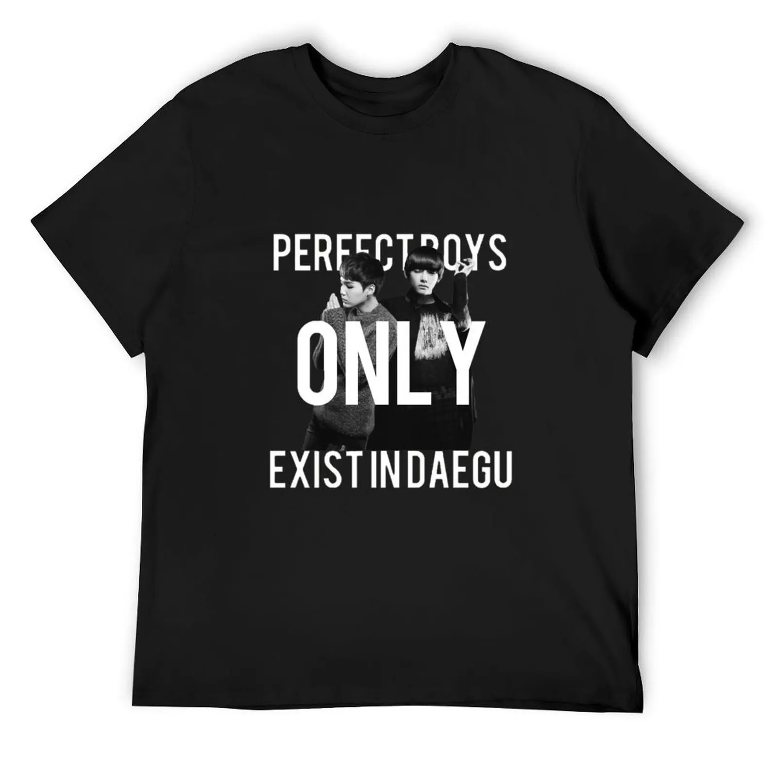 

Perfect boys only exist in Daegu T-Shirt kawaii clothes boys animal print rapper graphic tees mens t shirts