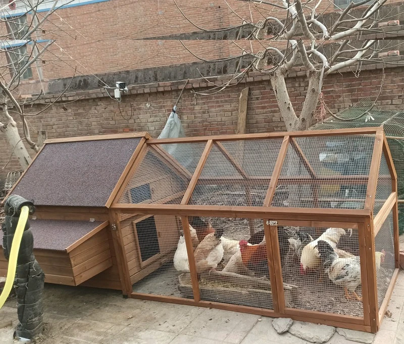 

Большая бытовая клетка для курицы, клетка для курицы и утки, новая высота