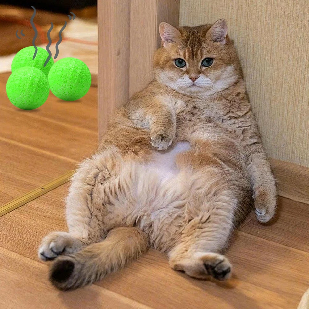 

Набор из 12 штук: Отпугиватель кошек и собак на основе натуральных компонентов для защиты двора от бездомных кошек и собак