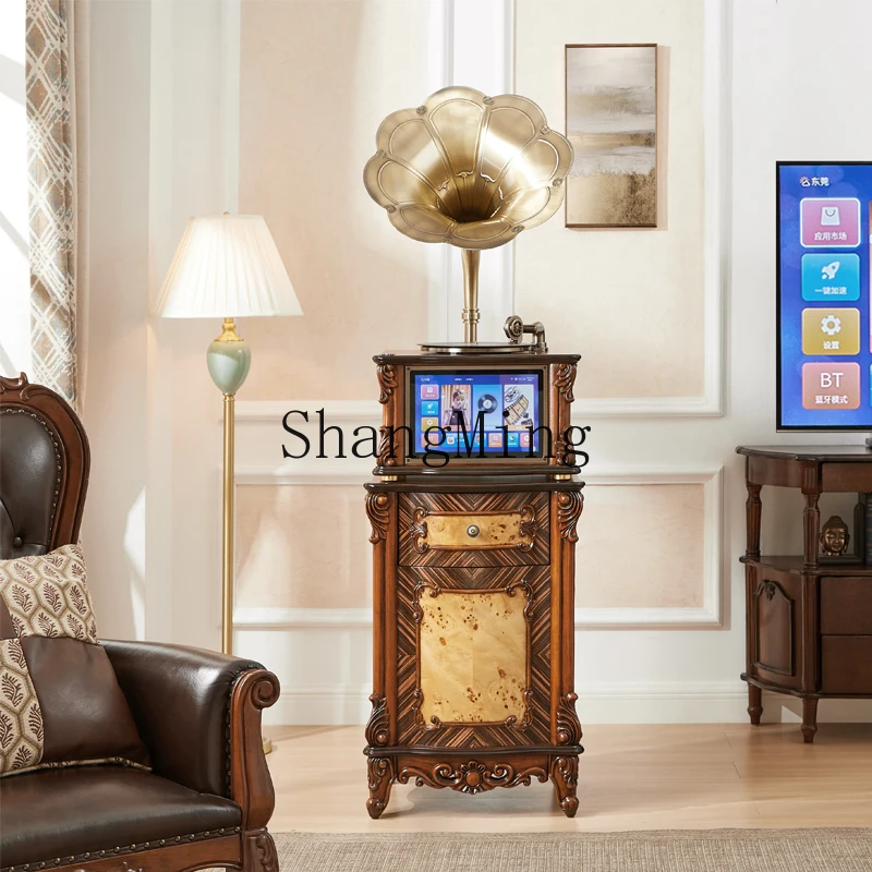 

SM Home Singing Display Gramophone Premium Sense Vinyl Record Player Audio