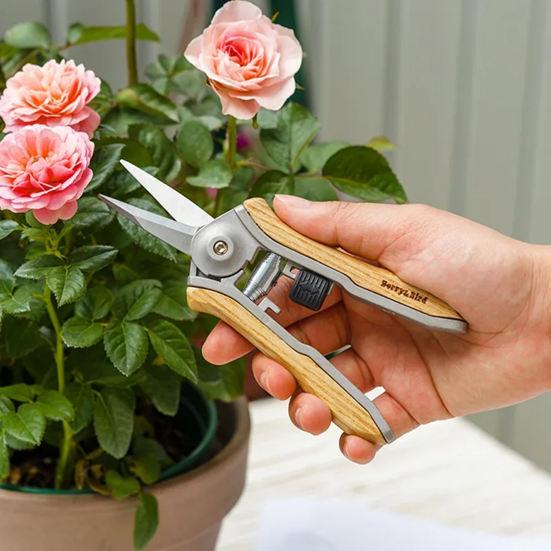 Garden Flower Art Special Mini Pruning Scissors Labor-Saving Small Hedges Shears for Potted Plants Gardening Hand Tool