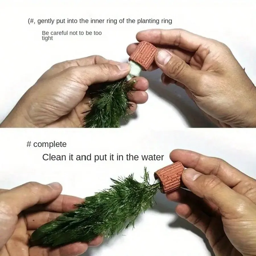 High   Quality Aquarium Plant Fixation Rings - Breathing Rings for Aquatic Plants Ensure Stability and  Health in Aquascaping