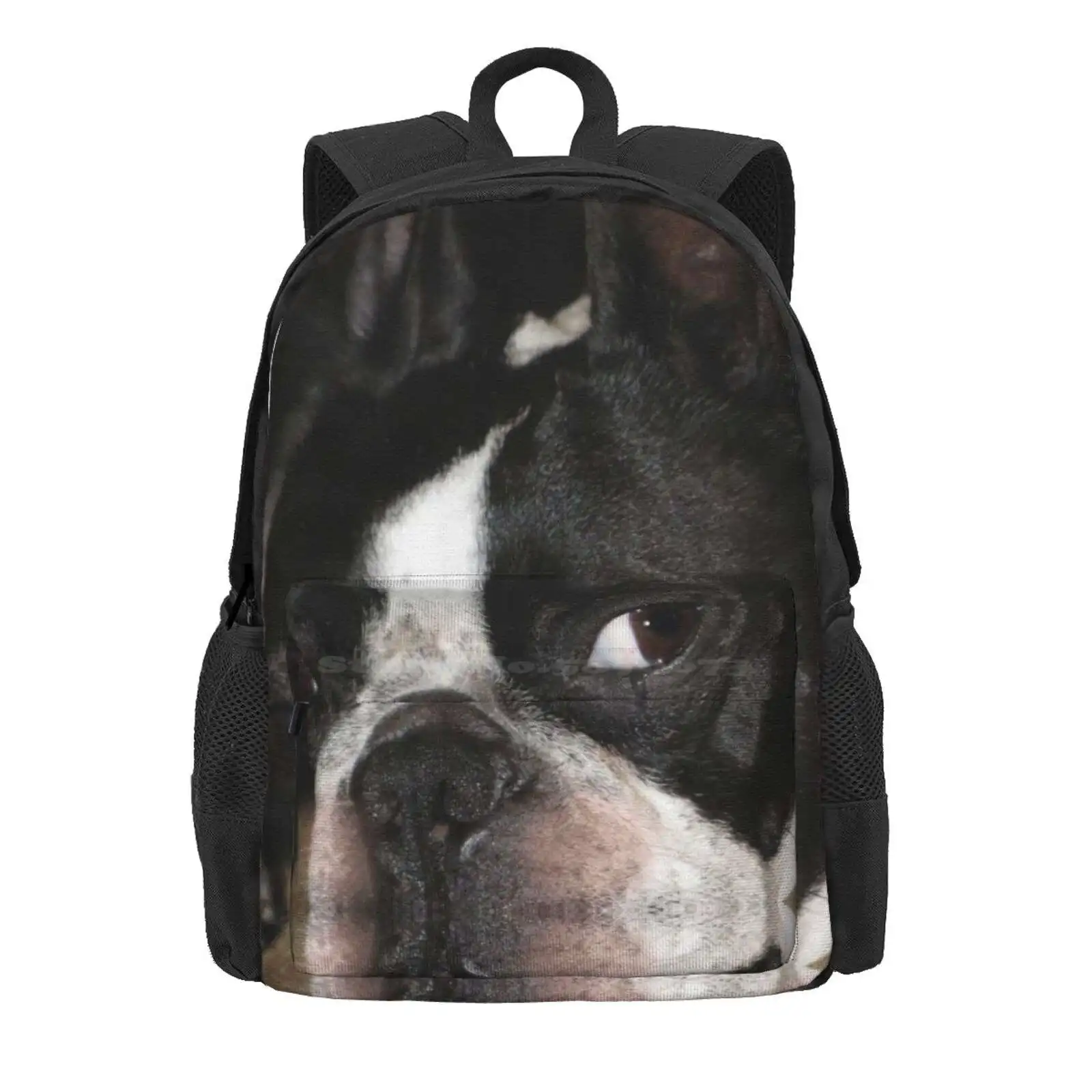 Boston Terrier Bailey Hot Sale Schoolbag Backpack Fashion Bags Dog Boston Terrier