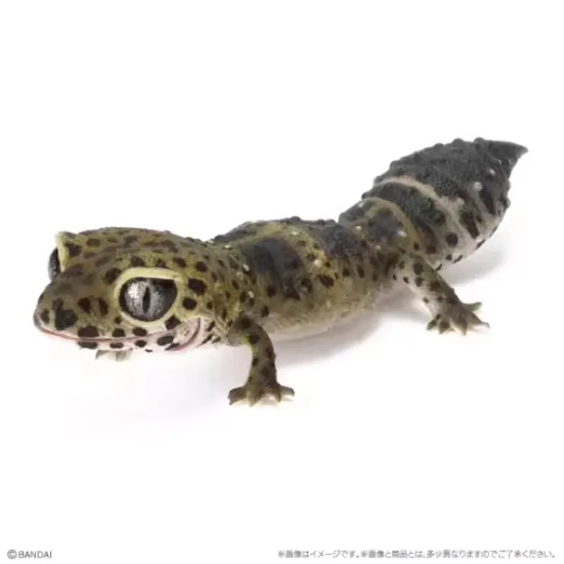 Bandai Twisted Egg, Big Biological Picture, Round Tail, Larva, Gecko, Leopard Print, Gecko, Palace Guard