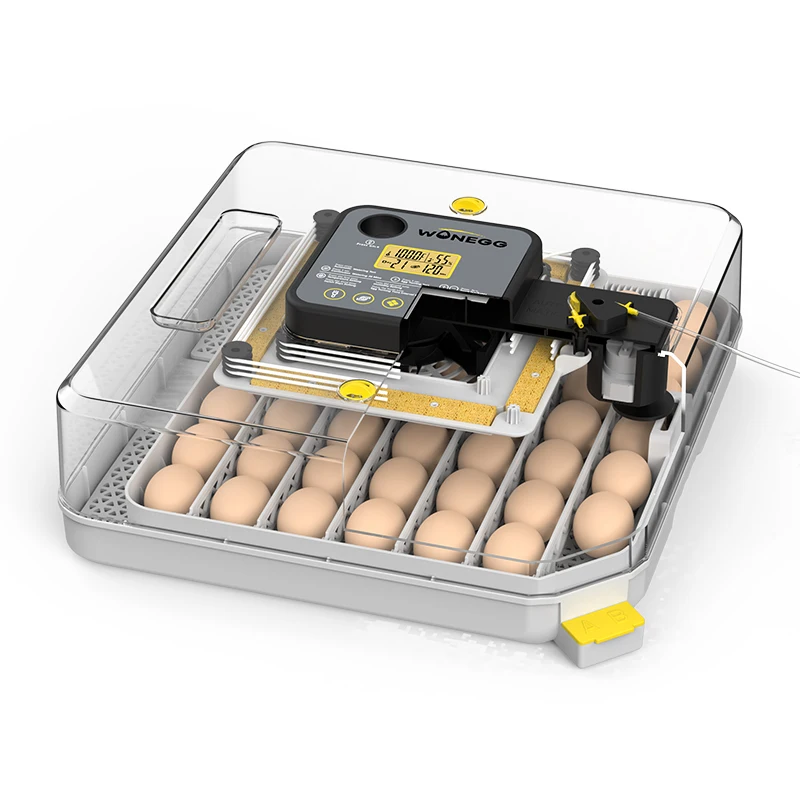 

48H Small Size Automatic Hatching Machine Humidity Control Egg Incubator