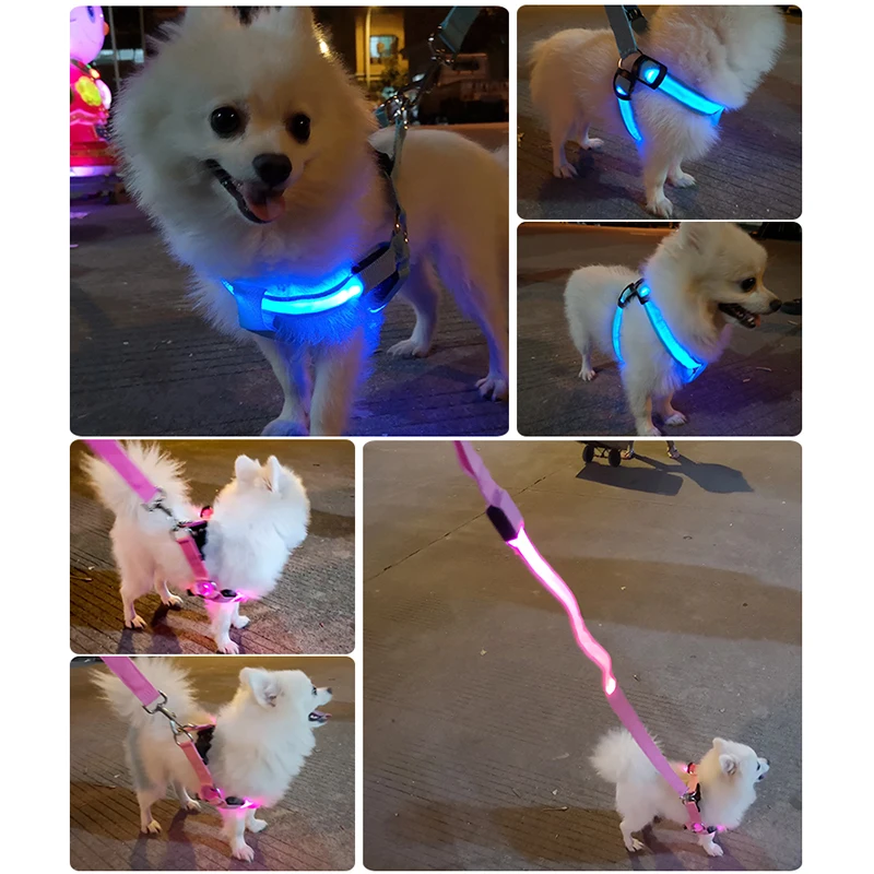 Thumbnail 3 - #25 Ranked LED Dog Collars Picks in 2026