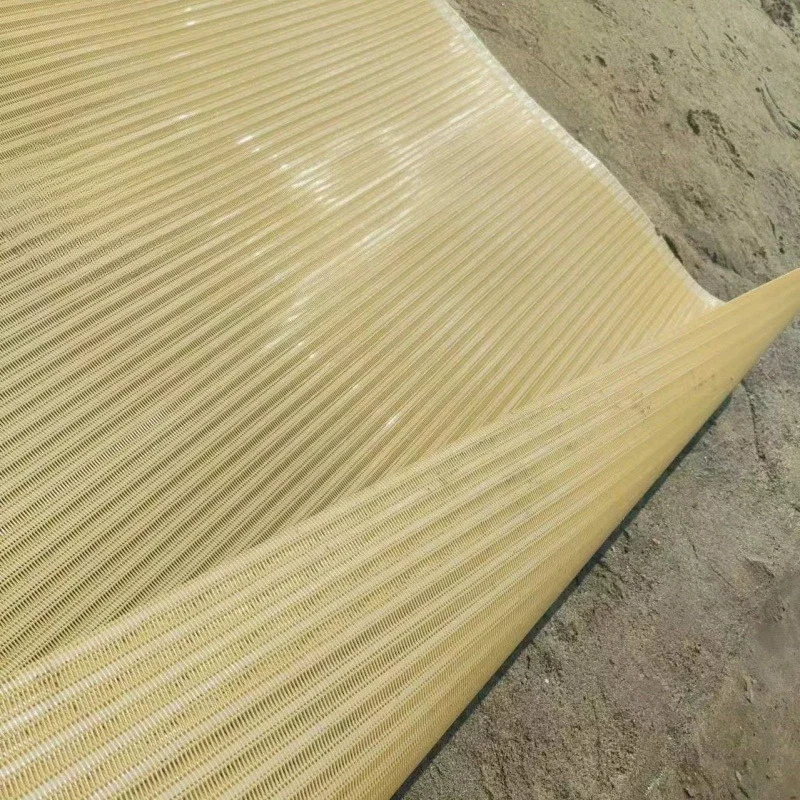 حصيرة شاطئ رملية غير قابلة للانزلاق يمكن الوصول إليها للكرسي المتحرك #3