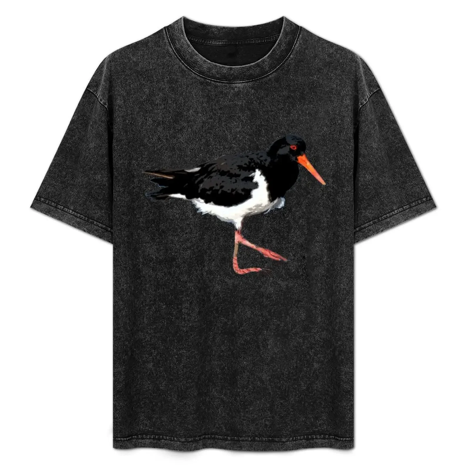 

American Oystercatcher Color Print T-Shirt Work Basic Short Sleeve Top