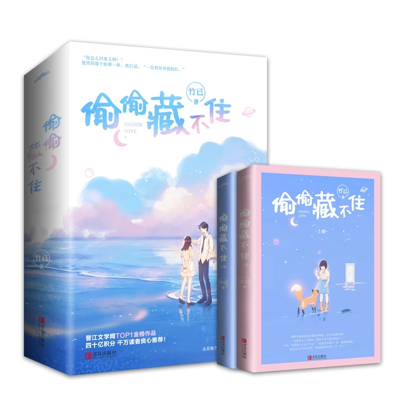 2 Books/Set Hidden Love Tou Tou Cang Bu Zhu Novel Vol. 1+2  Duan Jiaxu, Sang Zhi Youth Campus Romance Love Fiction Books