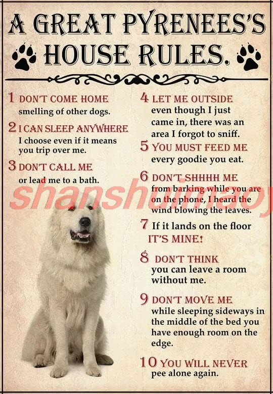 VNCgov-Aluminum Metal Signs Vintage A Great Pyrenees House Rules For Dog Lover For Bars Club Restaurants Cafes Pubs 8x12 In sign