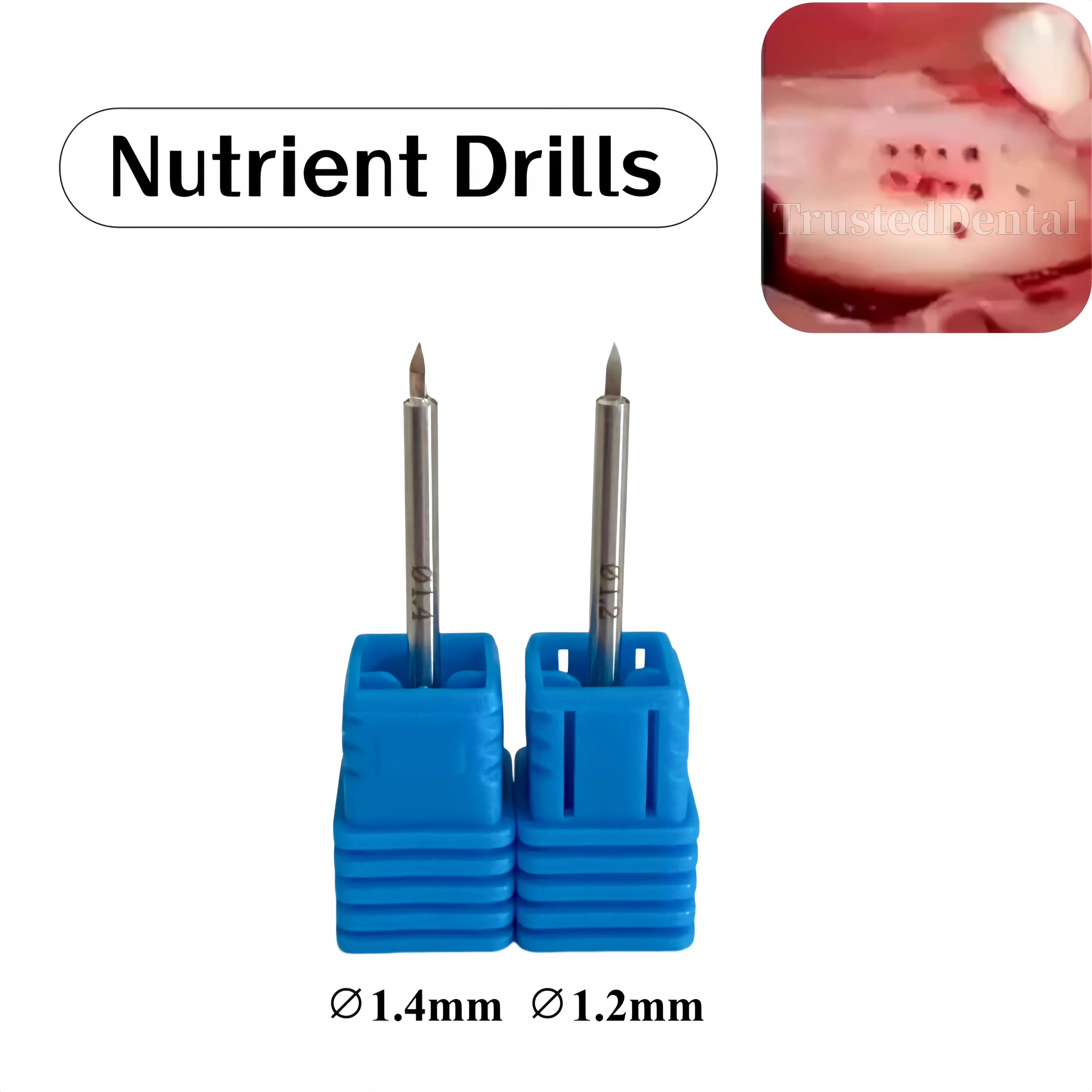 Perceuse à nutriments dentaire pour implants, favorisant la formation osseuse, MCT ∅1.2mm 1.4mm