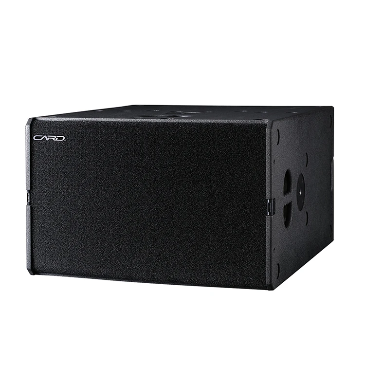 

Professional 15 Inch Bass Popular Pa Music System Multi-functional Entertainment Subwoofer Speaker