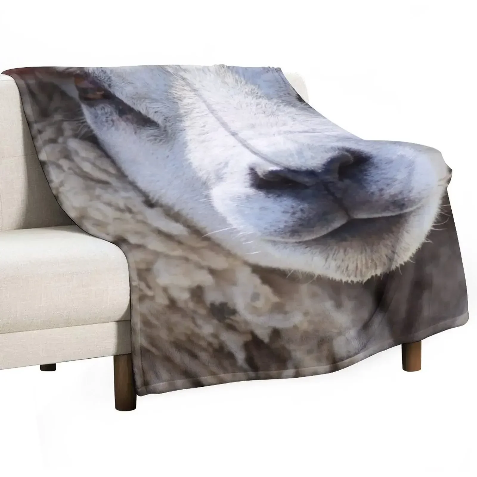 

Texel Sheep Throw Blanket Thermal Nap Soft warm winter Blankets