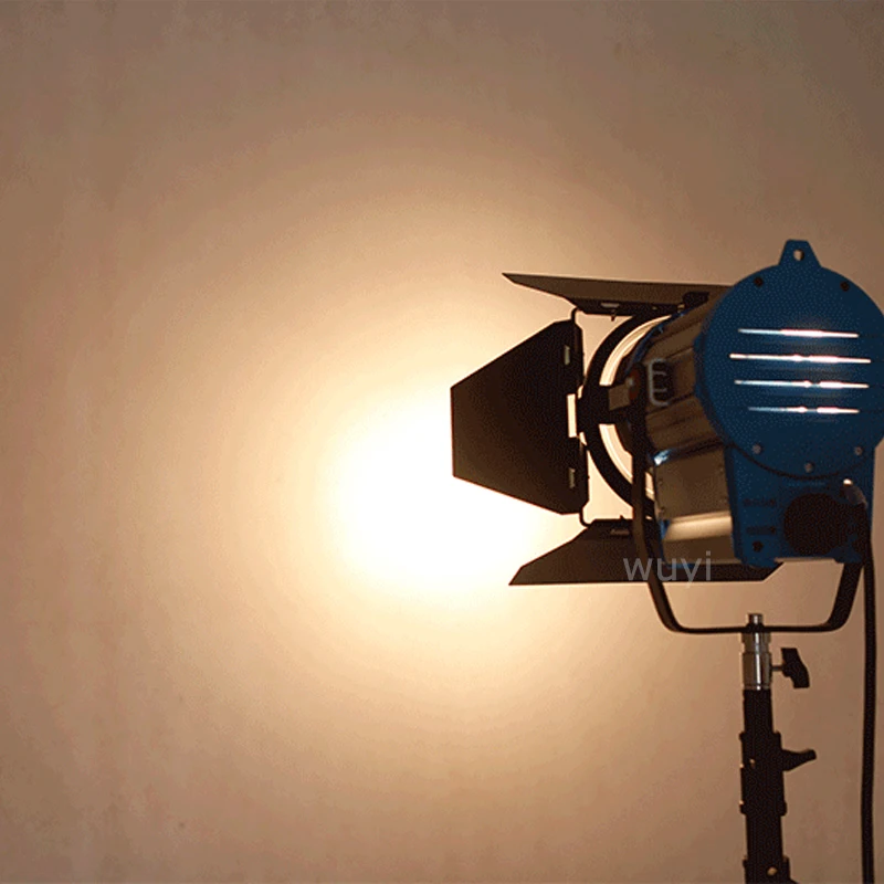 300W 650W 1000W 2000W Professionele Fresnel Studio Licht 3200K Warme Wolfraam Schijnwerper Fotografie Met Lamp En Dimmer