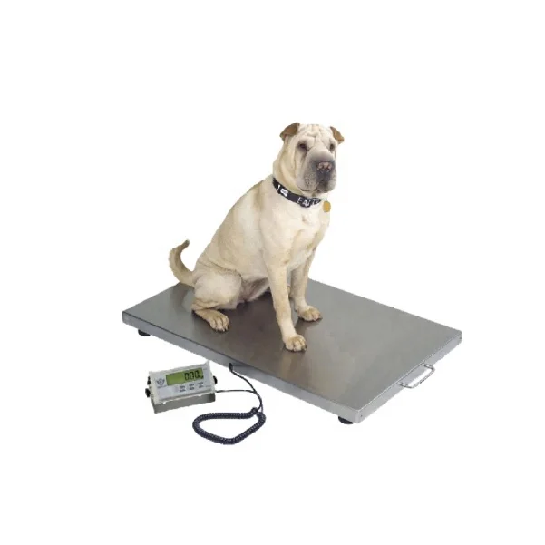 Básculas electrónicas WOS-4824, báscula para caminar para mascotas grandes, equipo hospitalar veterinario