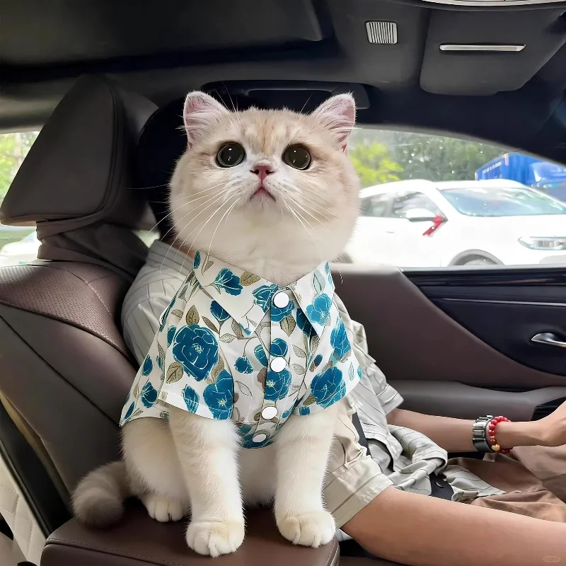 Cat and dog clothes floral shirts, spring/summer thin plush dolls, gradients, kitten pet clothes