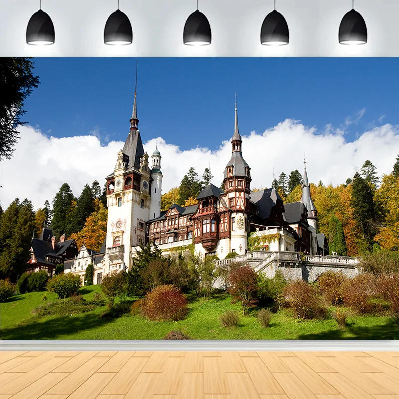 Beautiful Castle Architecture Staircase Photography Backdrops Medieval Fantasy Hallway Bookshop Cathedral Photo Background CT-03