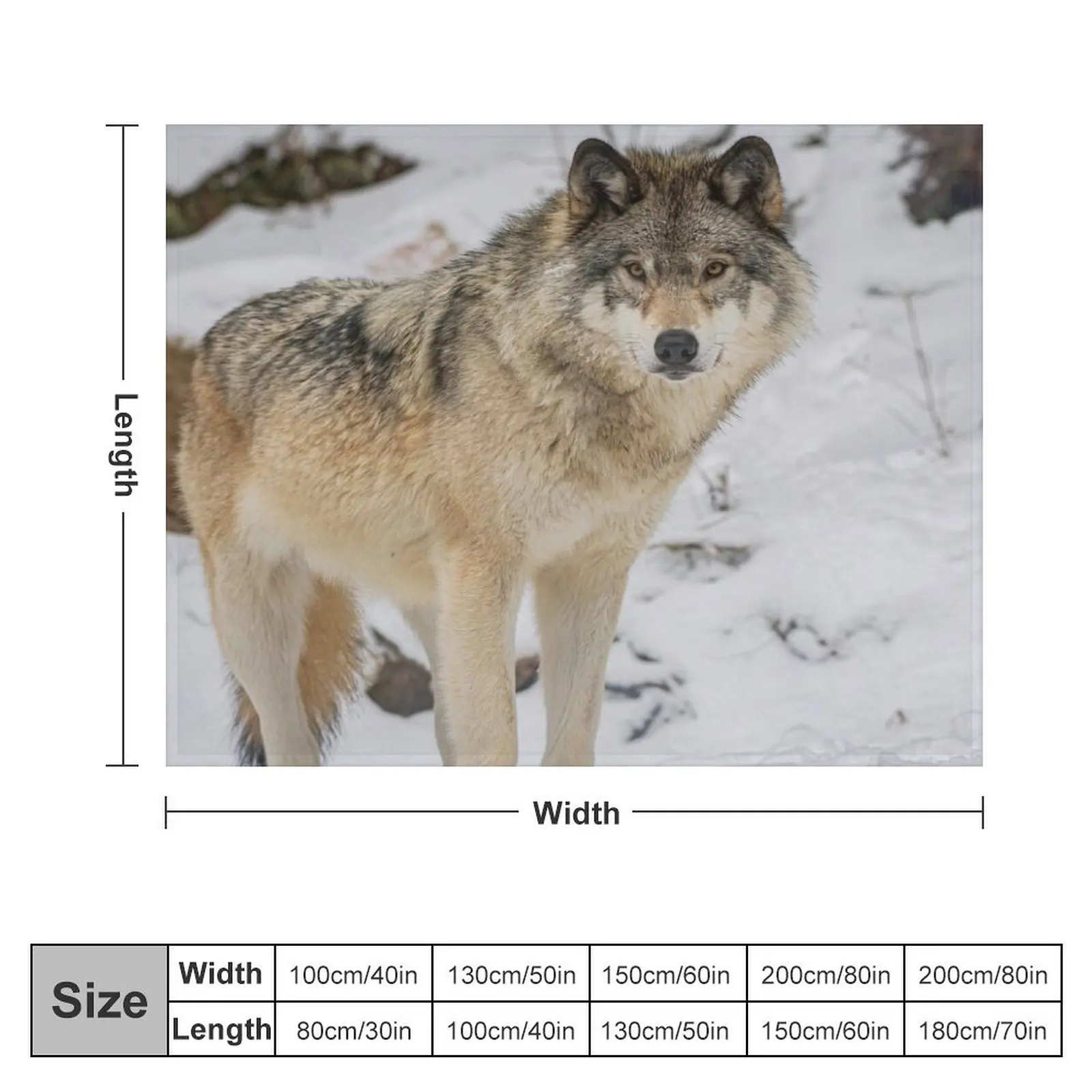 Eastern Gray Wolf Throw Blanket Luxury Designer Thins Blankets